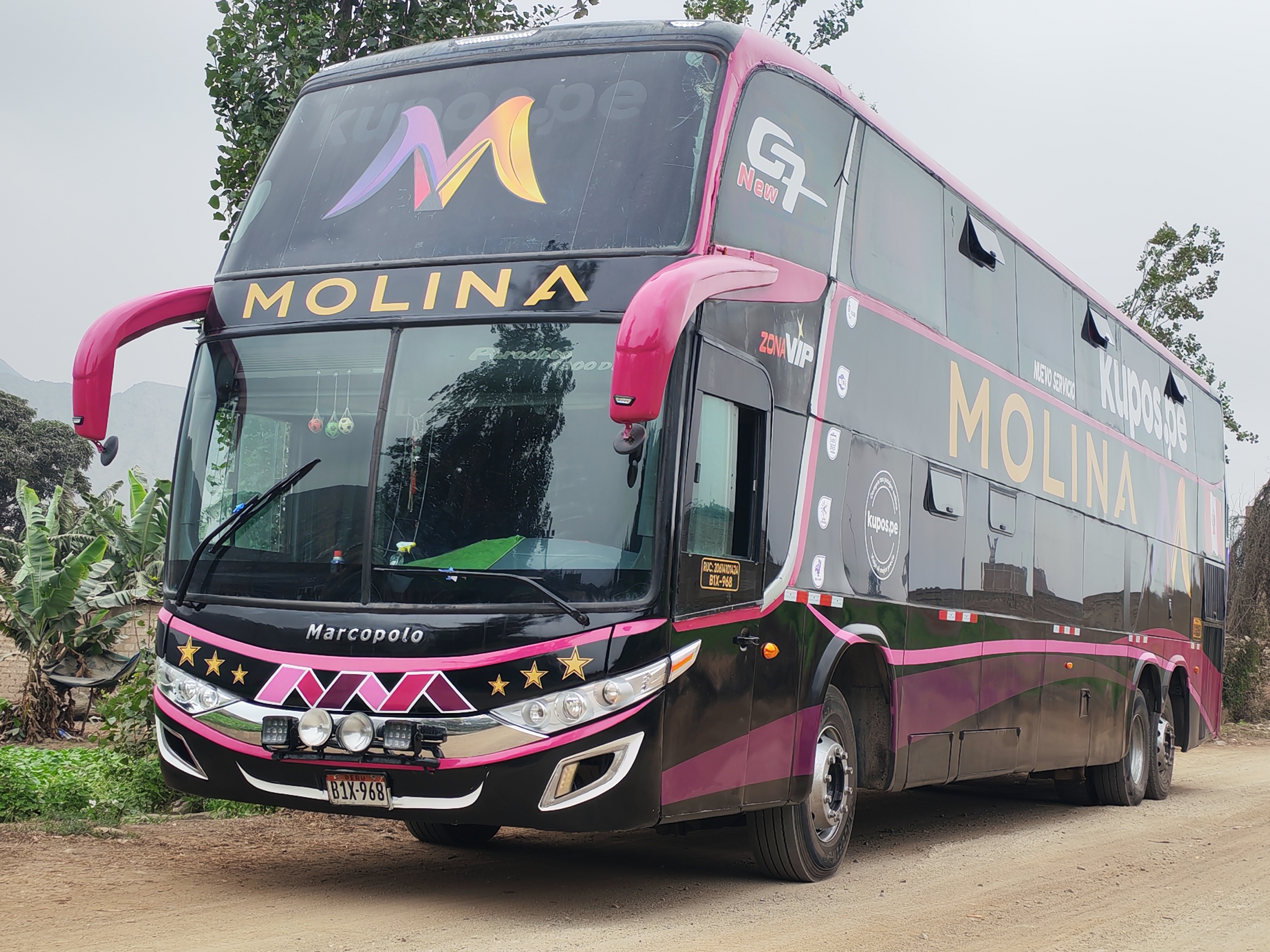 Bus Molina Zona VIP visto de frente junto a vegetación andina